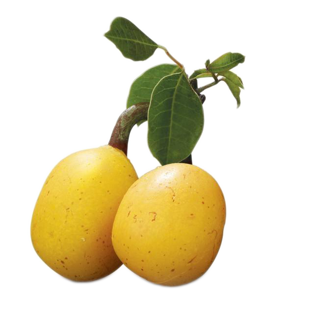 Benefits of Marula Oil